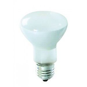 Frosted Reflective Lamp 230V 100W
