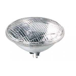 PAR46 Pool Light 100W