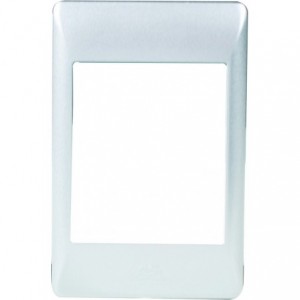 SPARE SILVER SURROUND 2x4