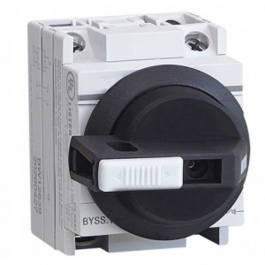 32A 1000VDC 2P Rotary Panel Mount Isolator