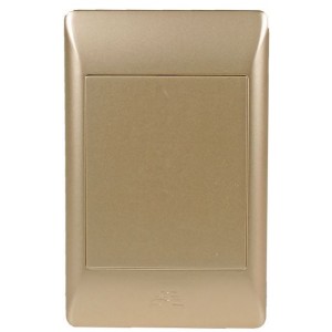 4 X 2 Blank Cover Plate