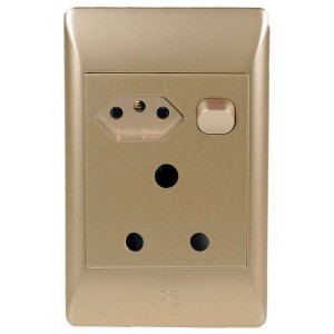 1x16A + 1X NEW SA  SW. SOCKET 2x4 C/W CHAMPAGNE COVER PLATE