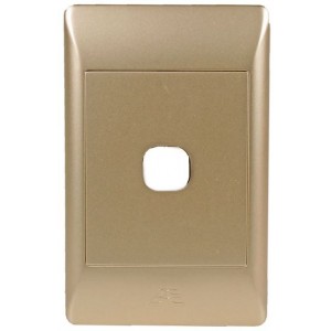 Blank Module 4X2 1 Lever
