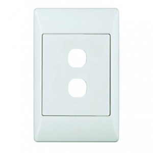 Blank Module 4X2 2 Way