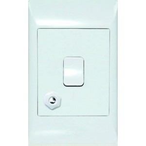 20A DP Isolator With Gland For Cable 2X4 White