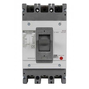 300A 3P Fixed Termal And Magnetic Mccb 50KA F4