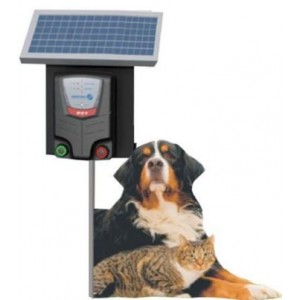 Pet Stop Energizer