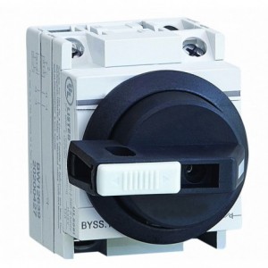 50A 1000VDC 2P Rotary Panel Mount Isolator