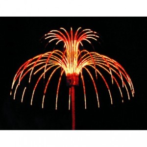 Forest 2M Height 4.5M Dia. Electronic Firework