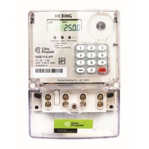 80A 1PH Citiq Prepaid Electricity Sub Meter
