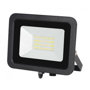 230VAC 20W Floodlight RED/GREEN/BLUE+W C/W Remote
