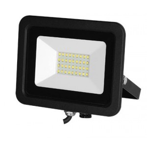 230VAC 30W Floodlight RED/GREEN/BLUE+W C/W Remote