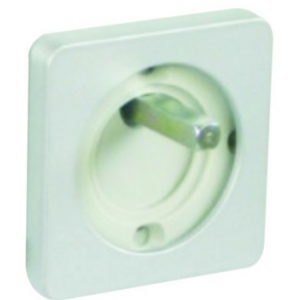 Chrome Faceplate