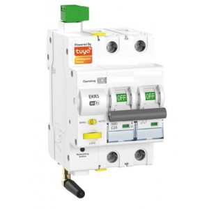 20A 2P Smart WIFI Circuit Breaker