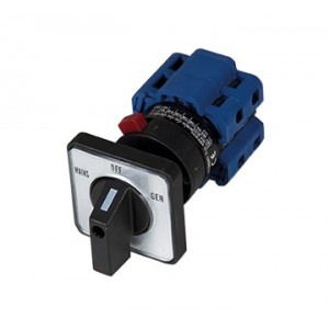 40A 2P 22MM Door Mount C/O Switch