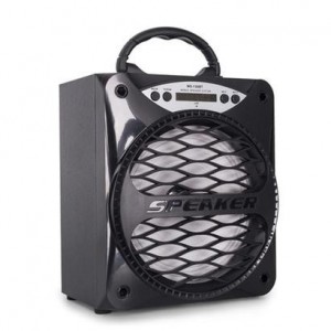 Microworld  Portable Speaker + Radio Black