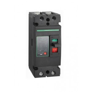 125A 2P 500VDC 15KA Ess Mccb