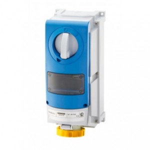 16A 110V 3P+E Sw Socket Outlet IP66
