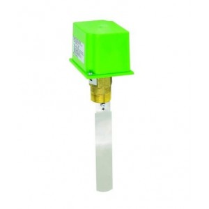 Flow Switch 1C/O 16A 1' Brass
