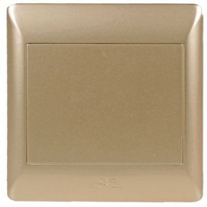 4 X 4 Blank Cover Plate