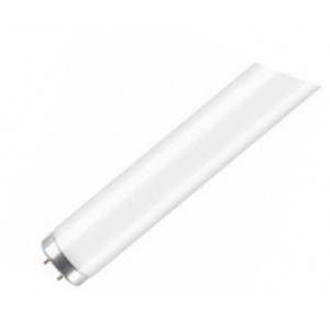 38mm T12 FLUORESCENT LAMP 75W 8FT - COOL WHITE 4000K