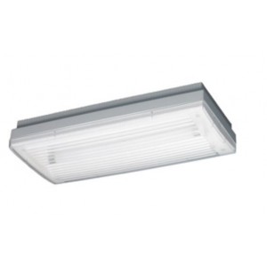STARTEC BASIC PAR./PLAF.NP 8W 1H