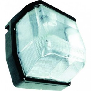 230VAC- 40W- INDUCTION BULKHEAD (275x270x190)