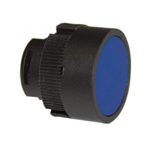 Blue Flush Pushbutton Head