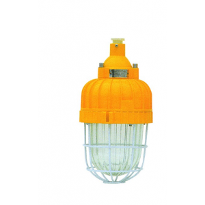 42W 230VAC E27 Energy Saving Cfl Fitting Ex. IP65