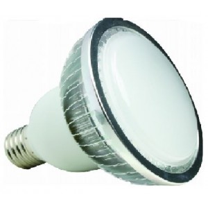 230VAC Warm White LED Spot Light Wide Angle 12W E27