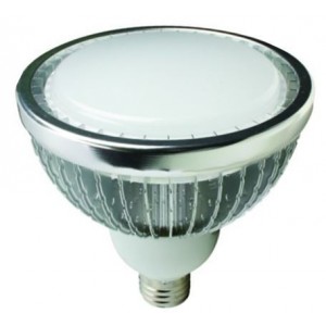 230VAC 22W Warm White LED Spot Light Wide Angle E27 IP54
