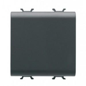 Chorus 2-GANG Blank Plate Black