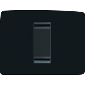 Chorus One Kit Blank Plate Black