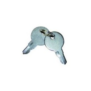 Spare Keys For MS815-2 Lock