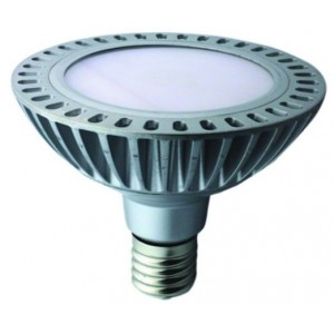 230VAC 32W Warm White LED PAR56 Spot Light E27