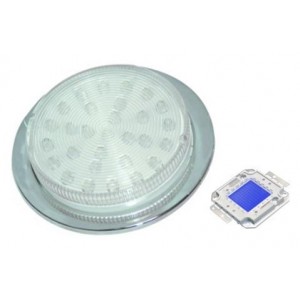 Blue 230V S/STEEL LED Lamp 78.5MM Dia.
