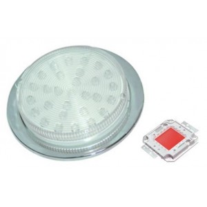 Red 230V S/STEEL LED Lamp 78.5MM Dia.