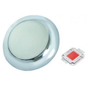 Red 230V S/STEEL LED Lamp 74MM Dia.