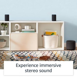 Echo Sub - Powerful subwoofer for your Echo (requires compatible Echo device)