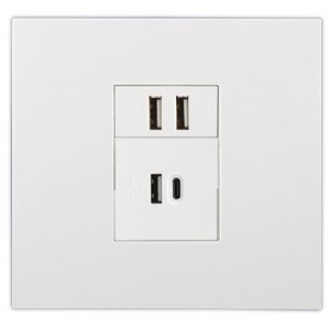 2X 2.1A USB Charger Socket Outlet 4X4 White Orion PRE-ASS.