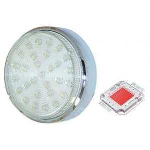 Red 230V S/STEEL LED Lamp 78.5MM Dia.