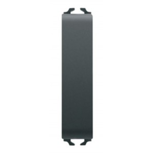 Chorus 2-WAY 1P 1/2M 10AX Switch Black