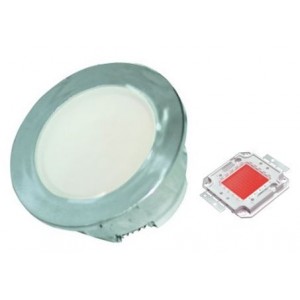 Red 230V S/STEEL LED Lamp 60MM Dia.
