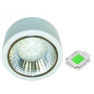 Green 230V S/STEEL LED Lamp 132MM Dia.