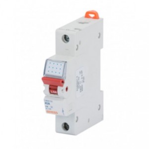 1P 63A Din Isolator 1M