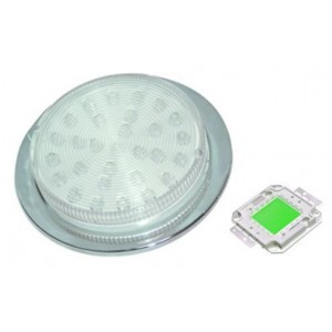 Green 230V S/STEEL LED Lamp 78.5MM Dia.