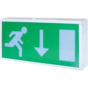 Emergency Wall Mount LED Light 0.9W Non Maintained
