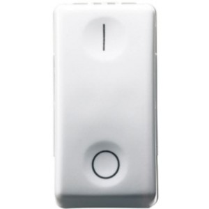 16A 230V 2P Switch