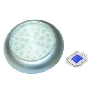 Blue 230V S/STEEL LED Lamp 78.5MM Dia.