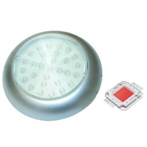 Red 230V S/STEEL LED Lamp 78.5MM Dia.